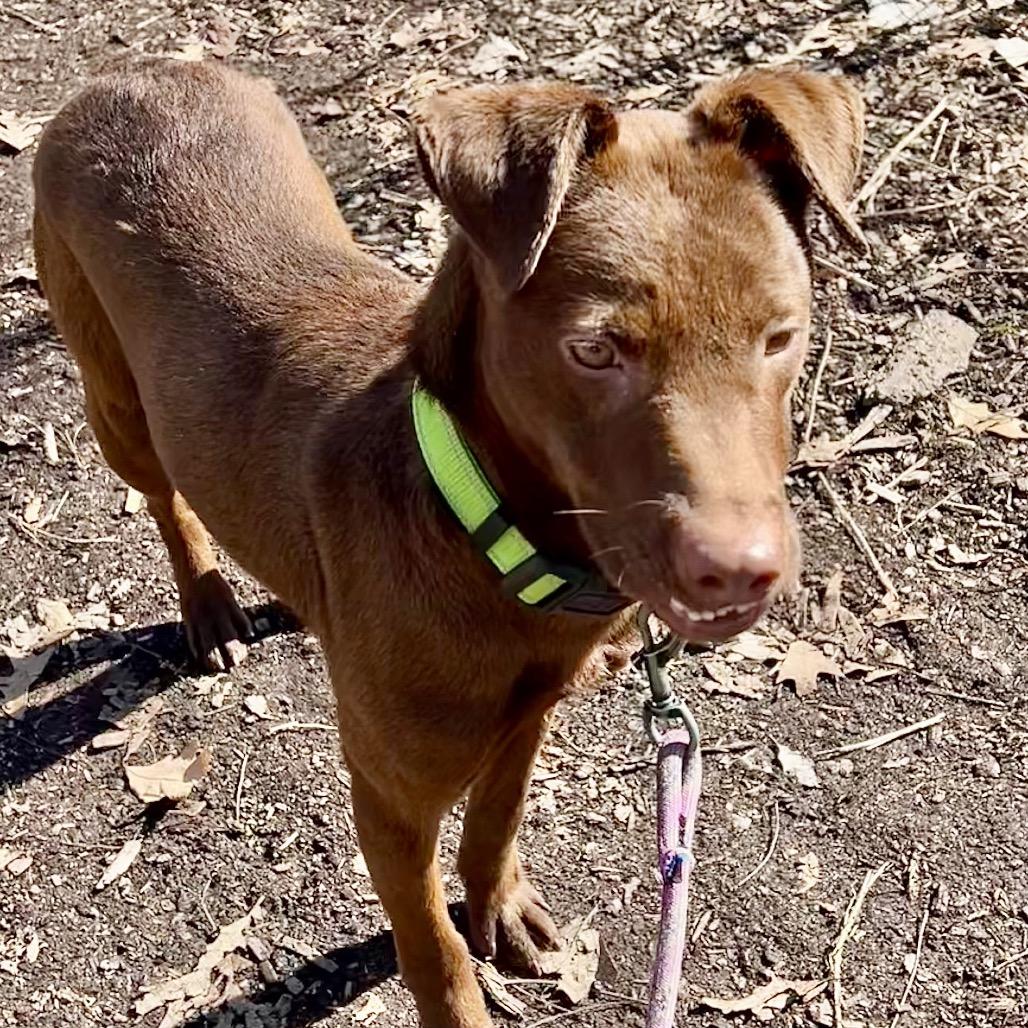 Redmond — thumbnail 6