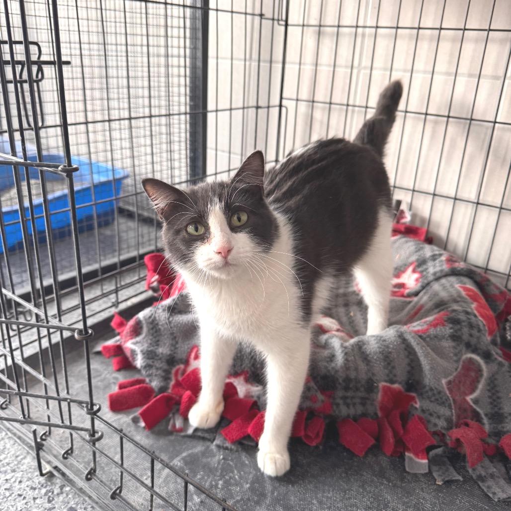 Friday — thumbnail 2