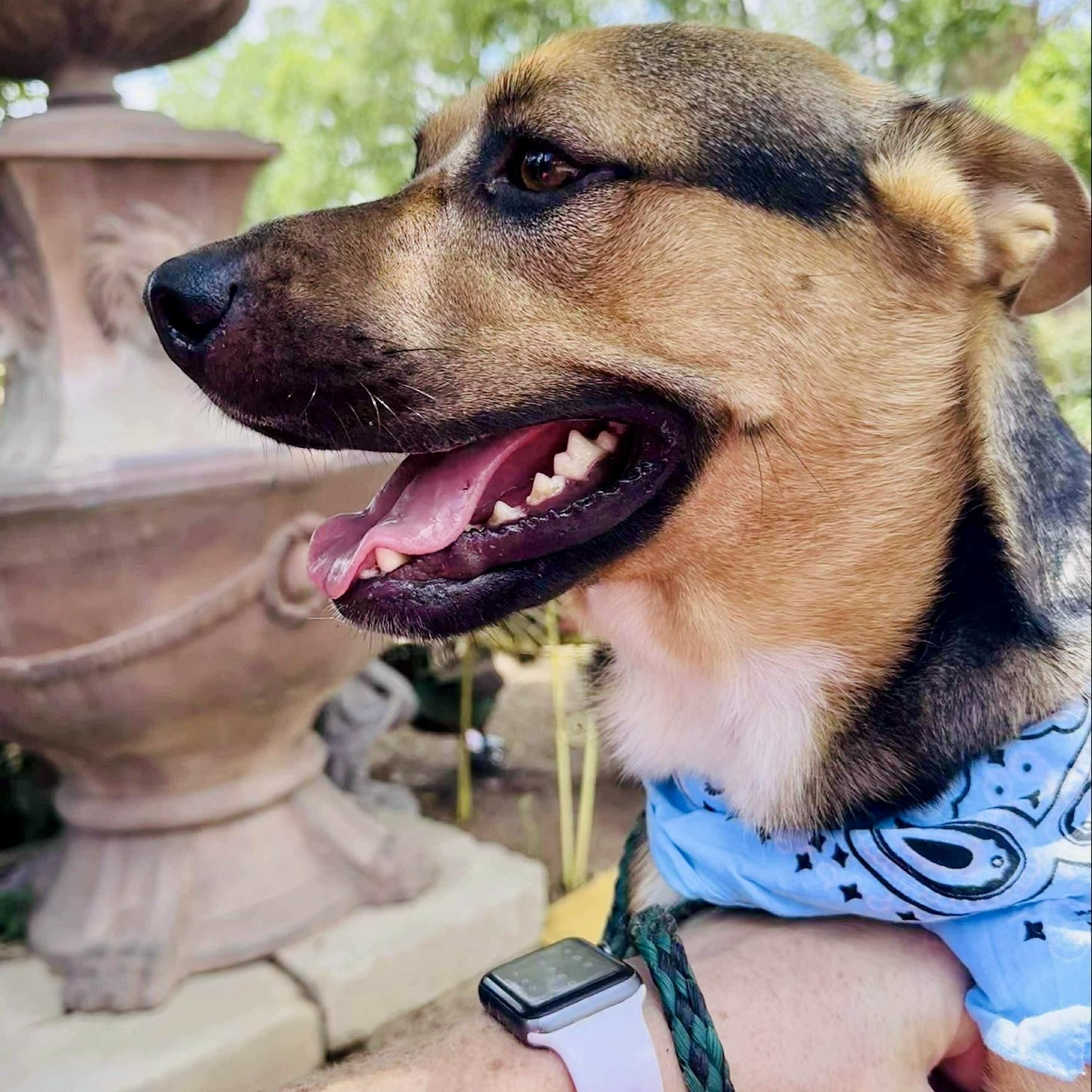 Roger — thumbnail 5