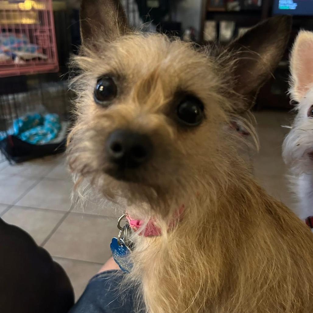 Bella Dior thumbnail 2