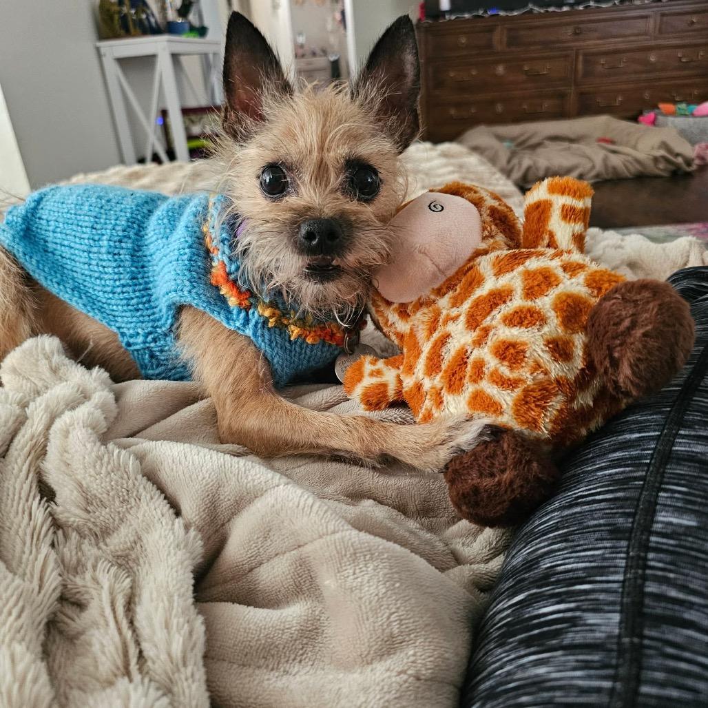 Bella Dior thumbnail 5