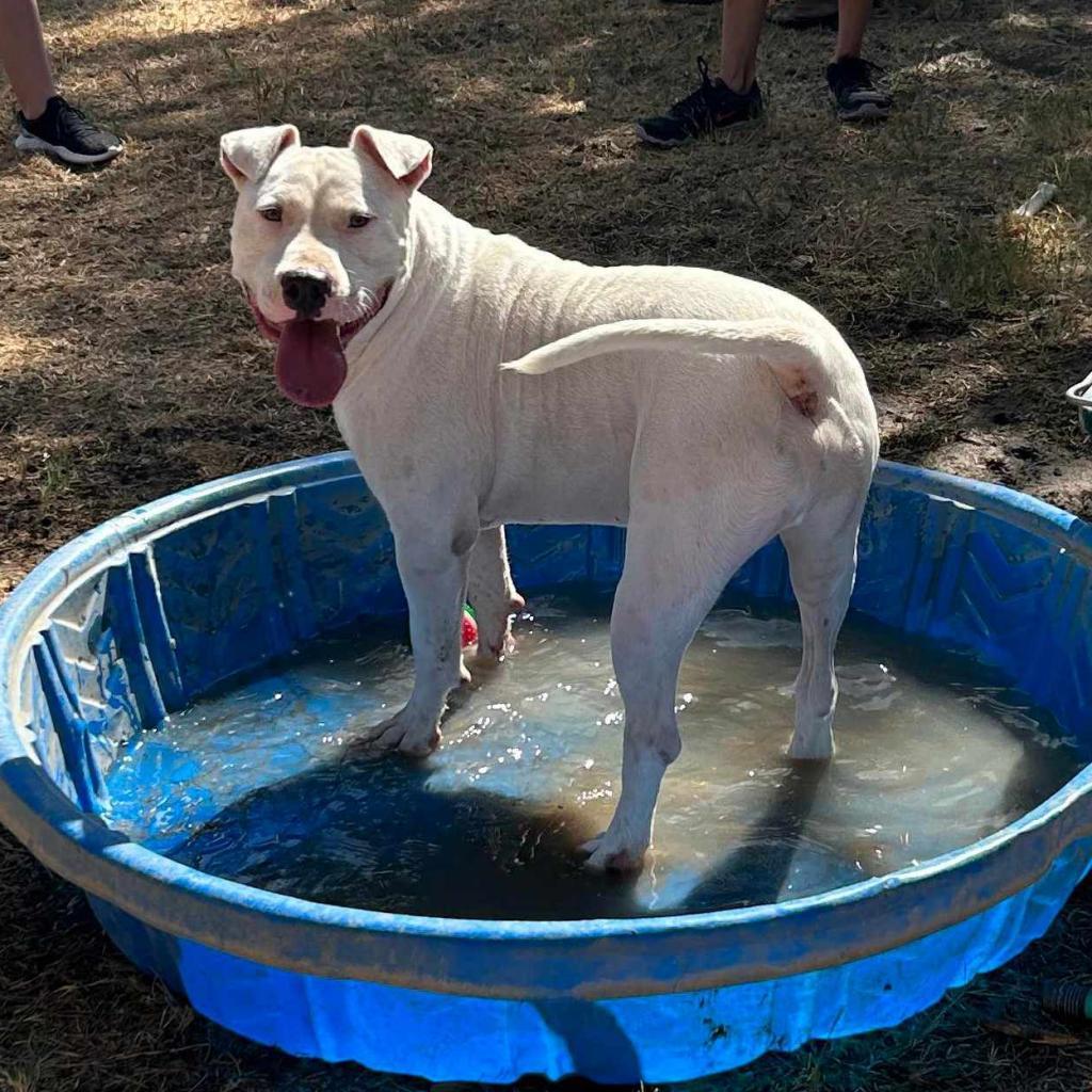 Max Cooper — thumbnail 3