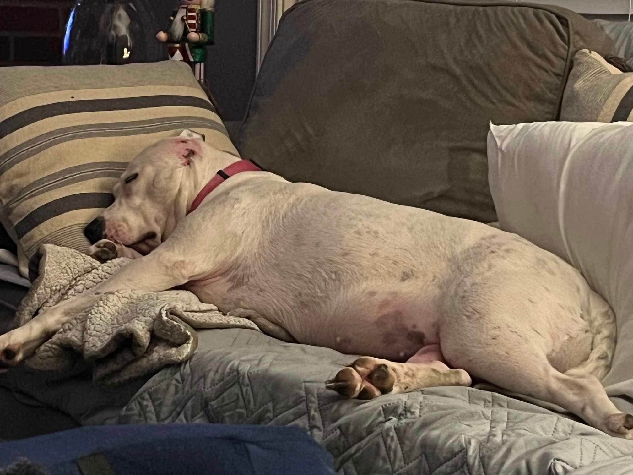Maggie Mae photo 2