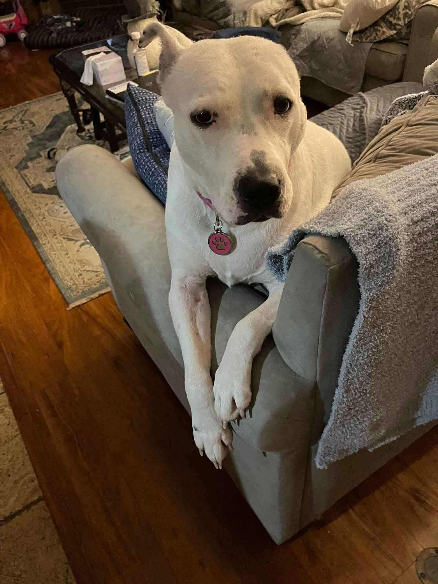 Maggie Mae photo 1