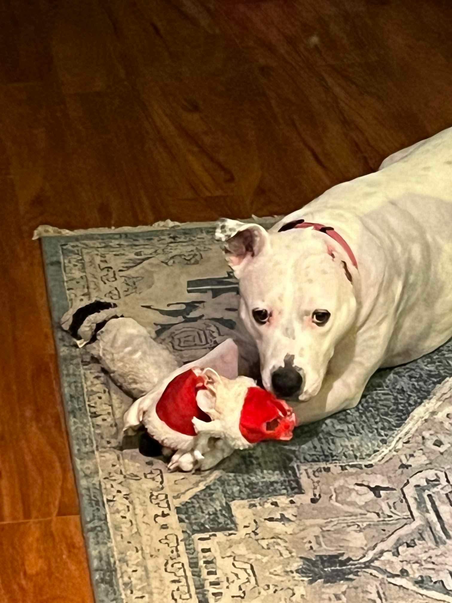 Maggie Mae photo 3