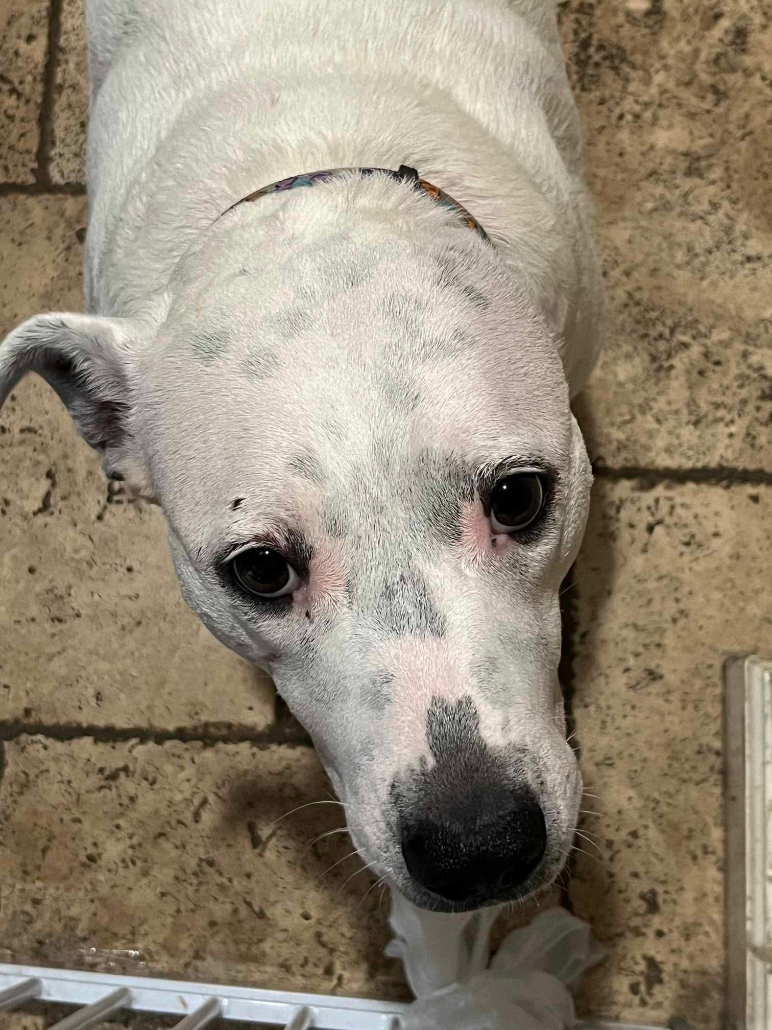 Maggie Mae photo 4