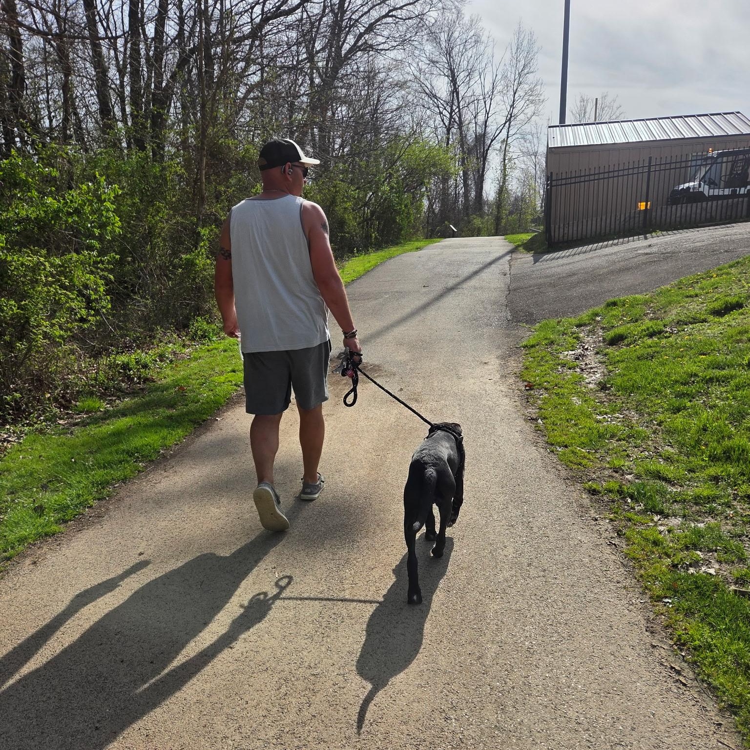 Enlarge Huck, a ADOPTABLE mixed breed in Jeffersonville, IN image 3/6