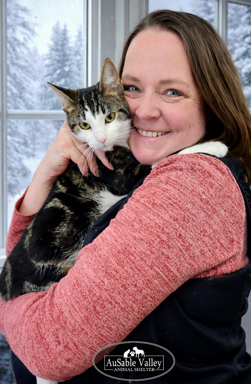 Blizzard, an adopted Domestic Short Hair in Grayling, MI image 4/5