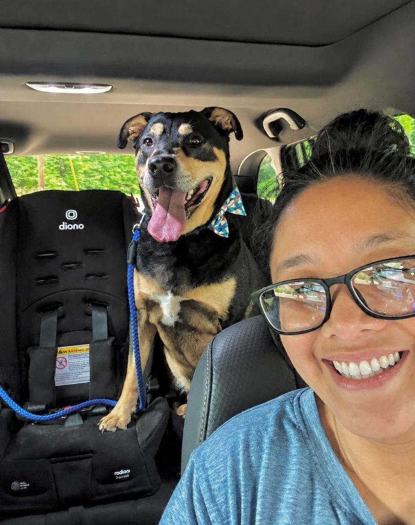 Enlarge Hancho, a Adoptable mixed breed in Princeton, MA image 2/5