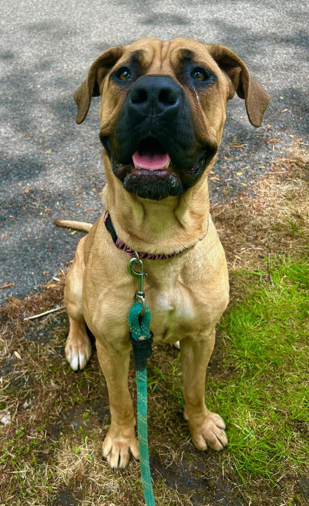 COURTESY POST FOR WASA:  Fiona