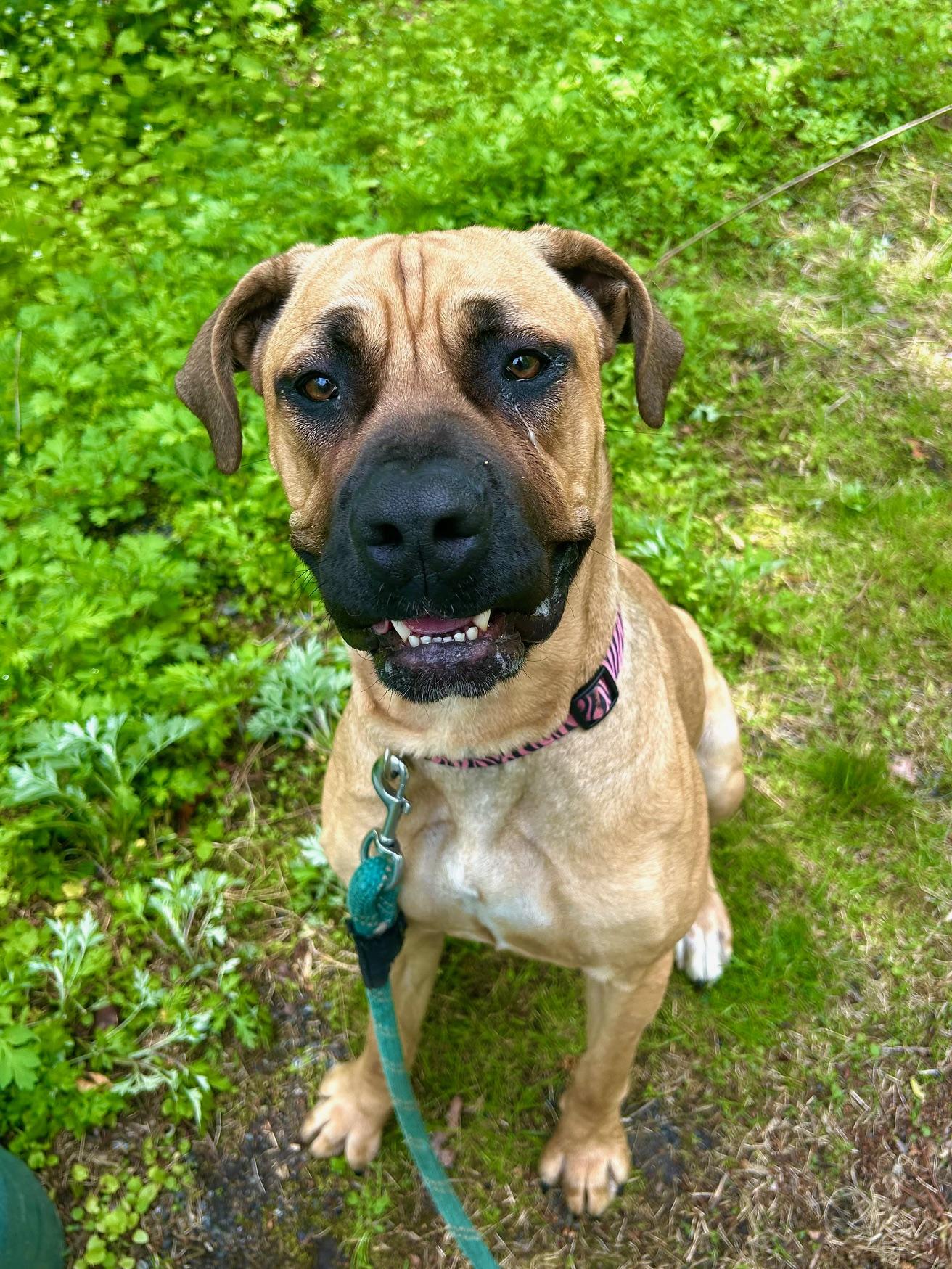 COURTESY POST FOR WASA:  Fiona