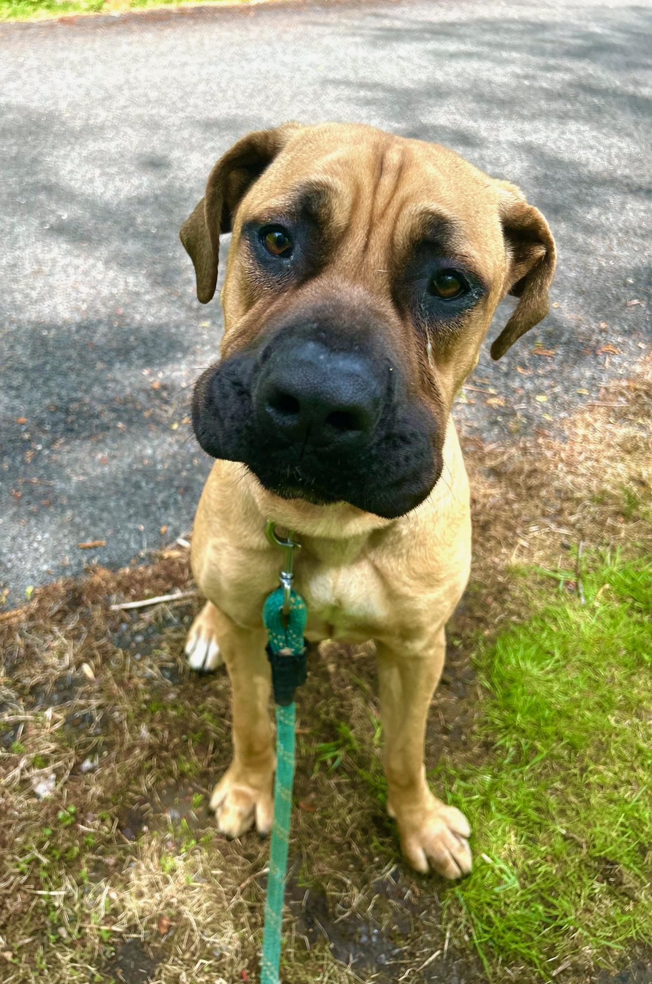 COURTESY POST FOR WASA:  Fiona