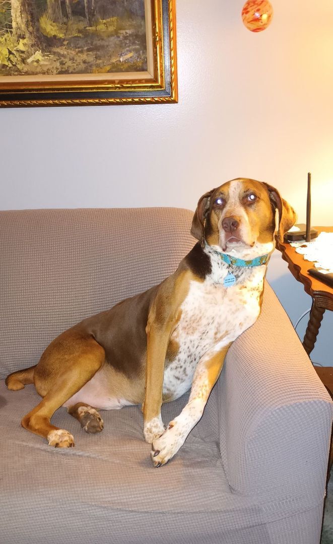 Charlie photo 3