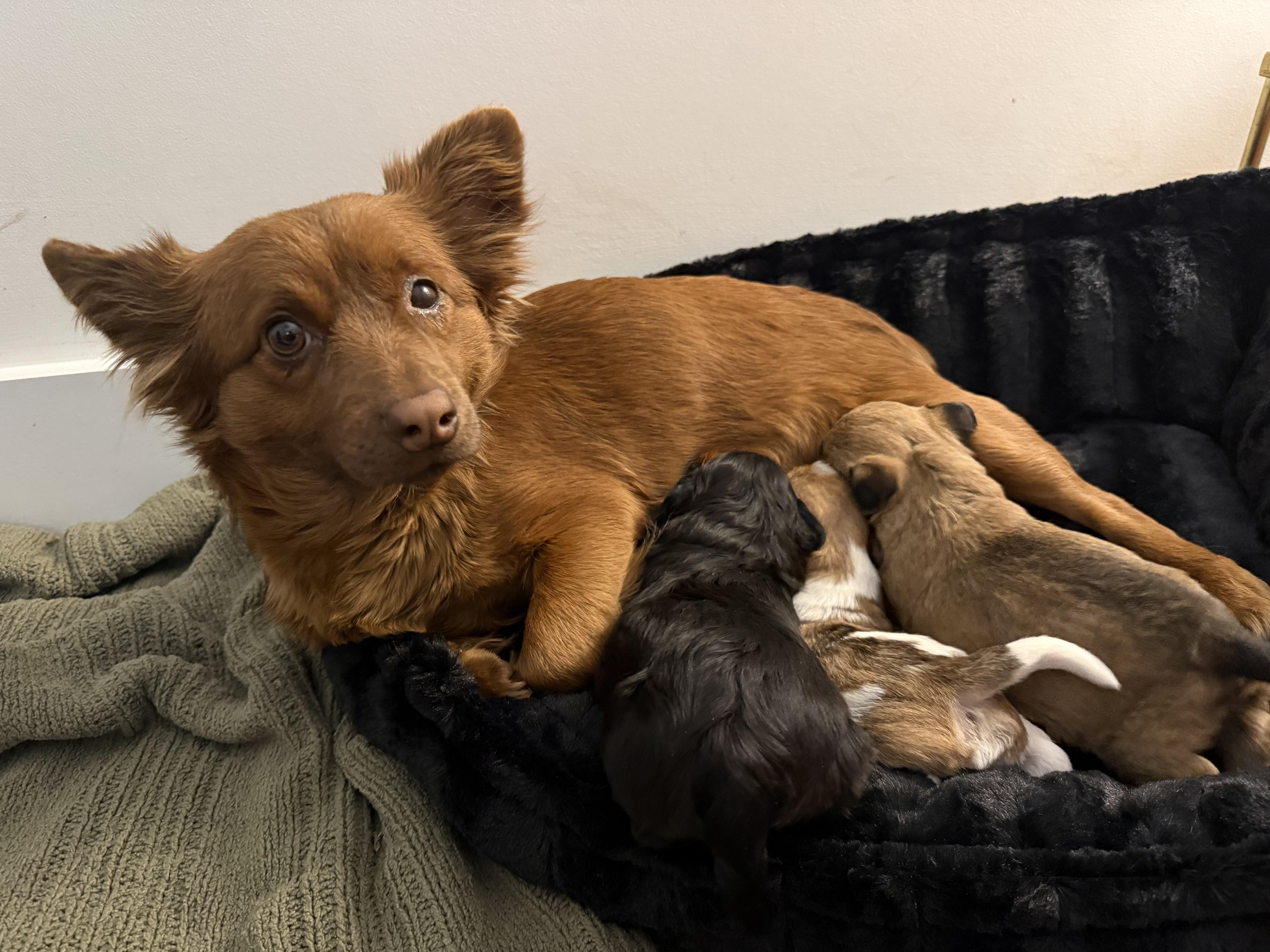 Ginny — thumbnail 2