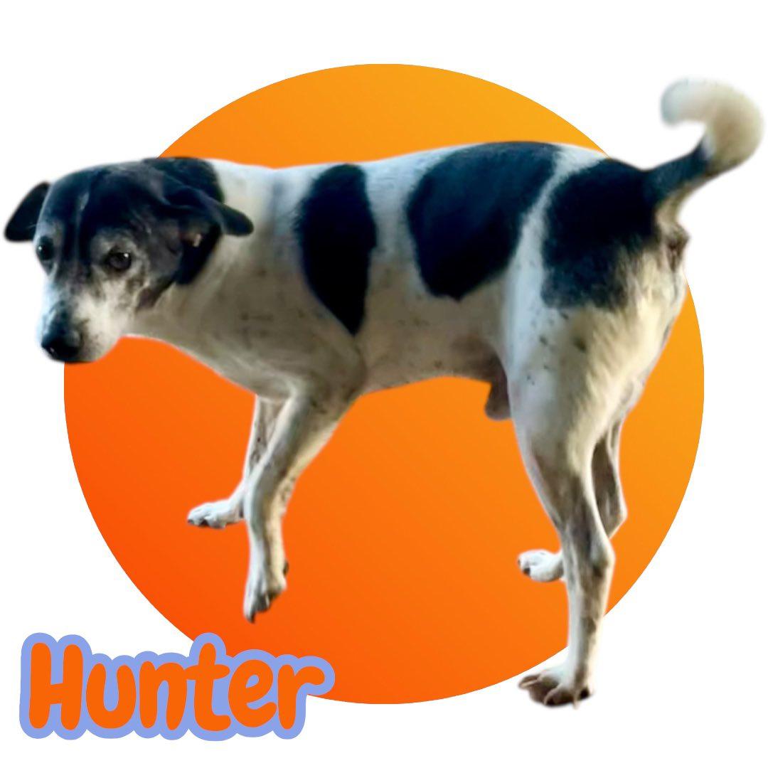 Hunter - All around AWESOME dude! — thumbnail 2
