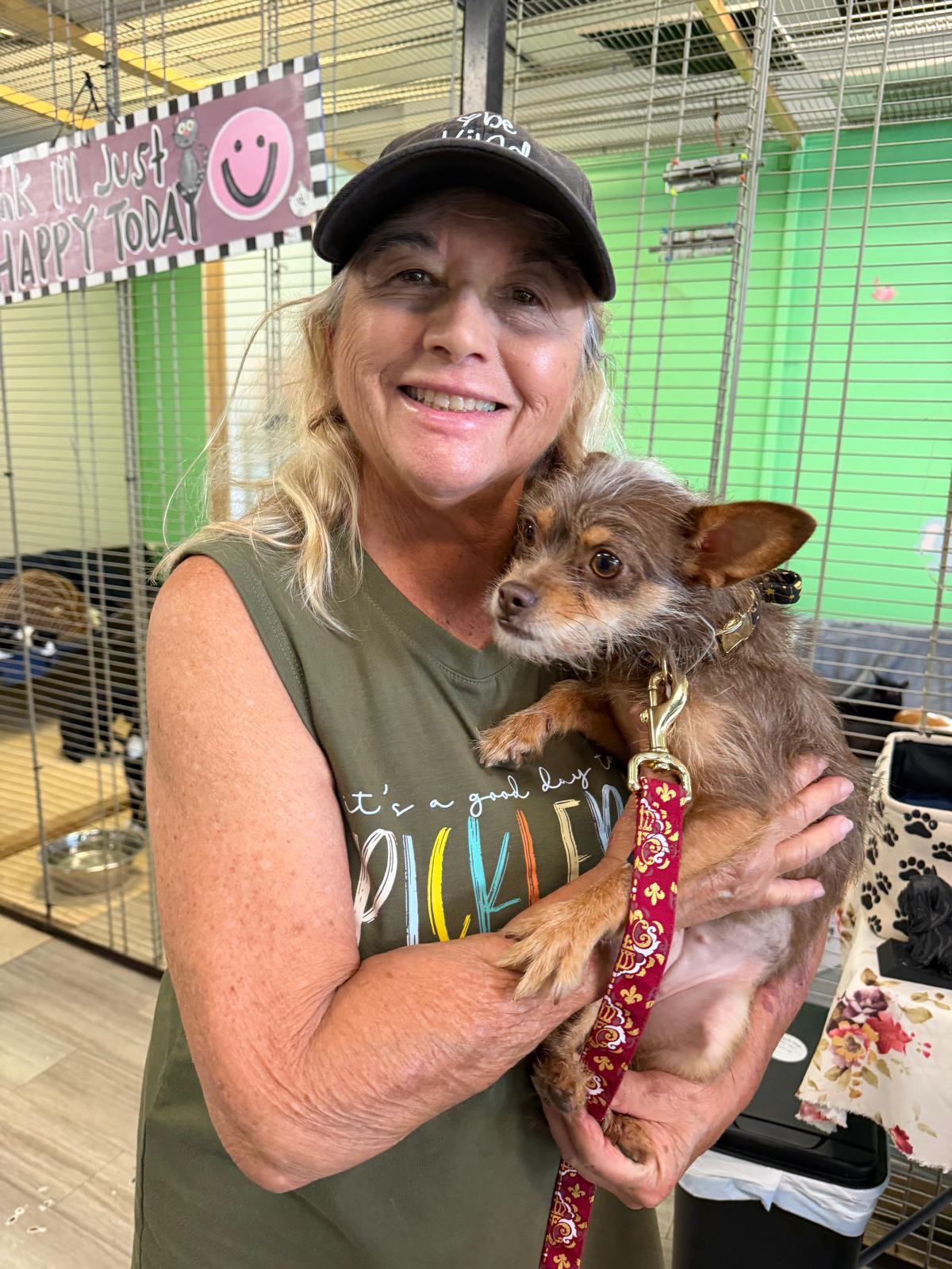 MELISA, Adopted, Adult Female Terrier.