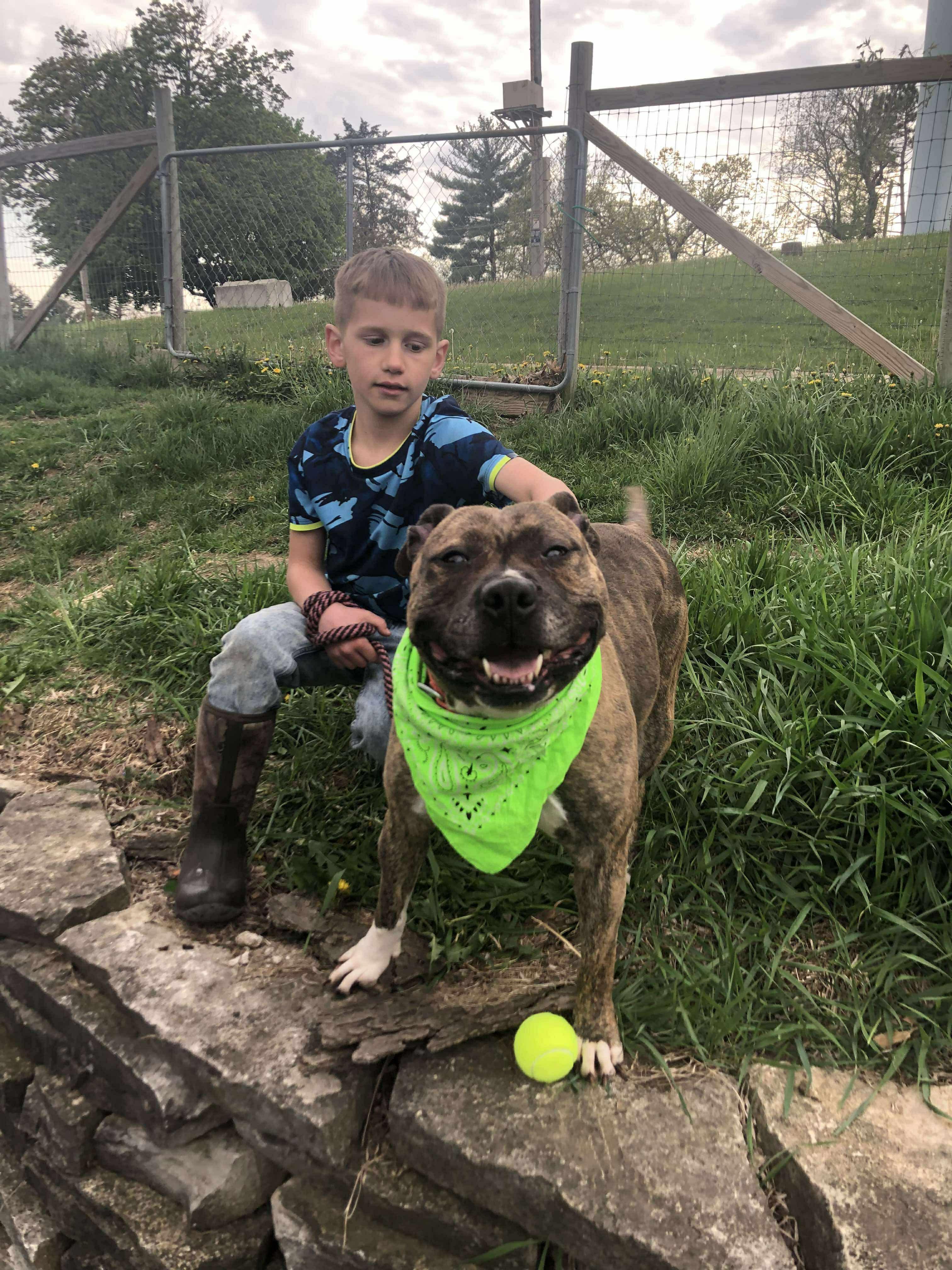 Maribel, a Adoptable mixed breed in Fort atkinson, WI image 5/6