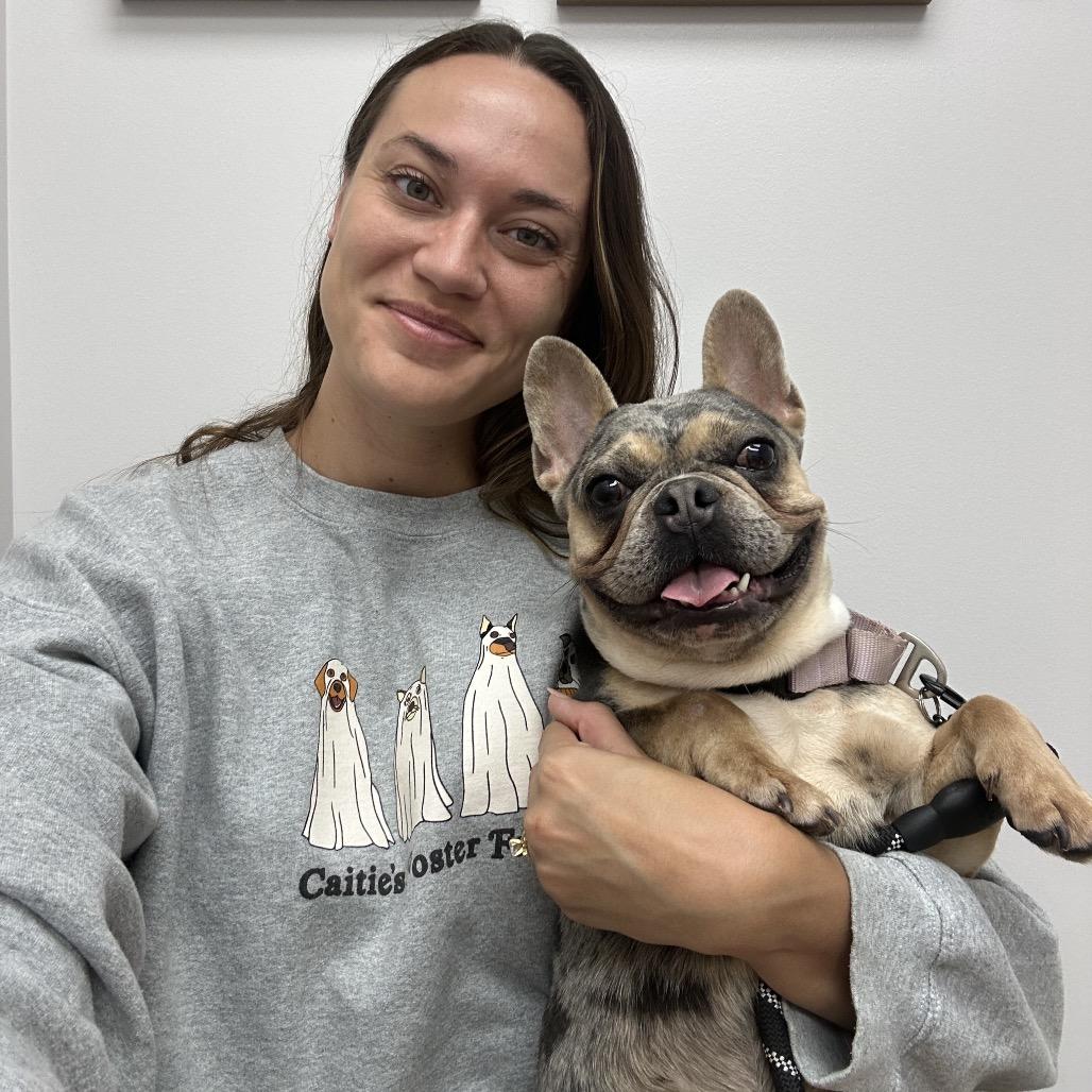 Stormie, a Adoptable mixed breed in Tallahassee, FL image 6/6