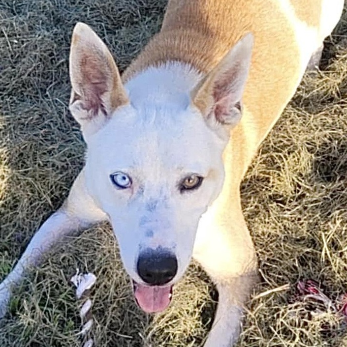 Luna
