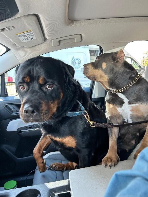 Raja Beefcake and Prayer — thumbnail 5