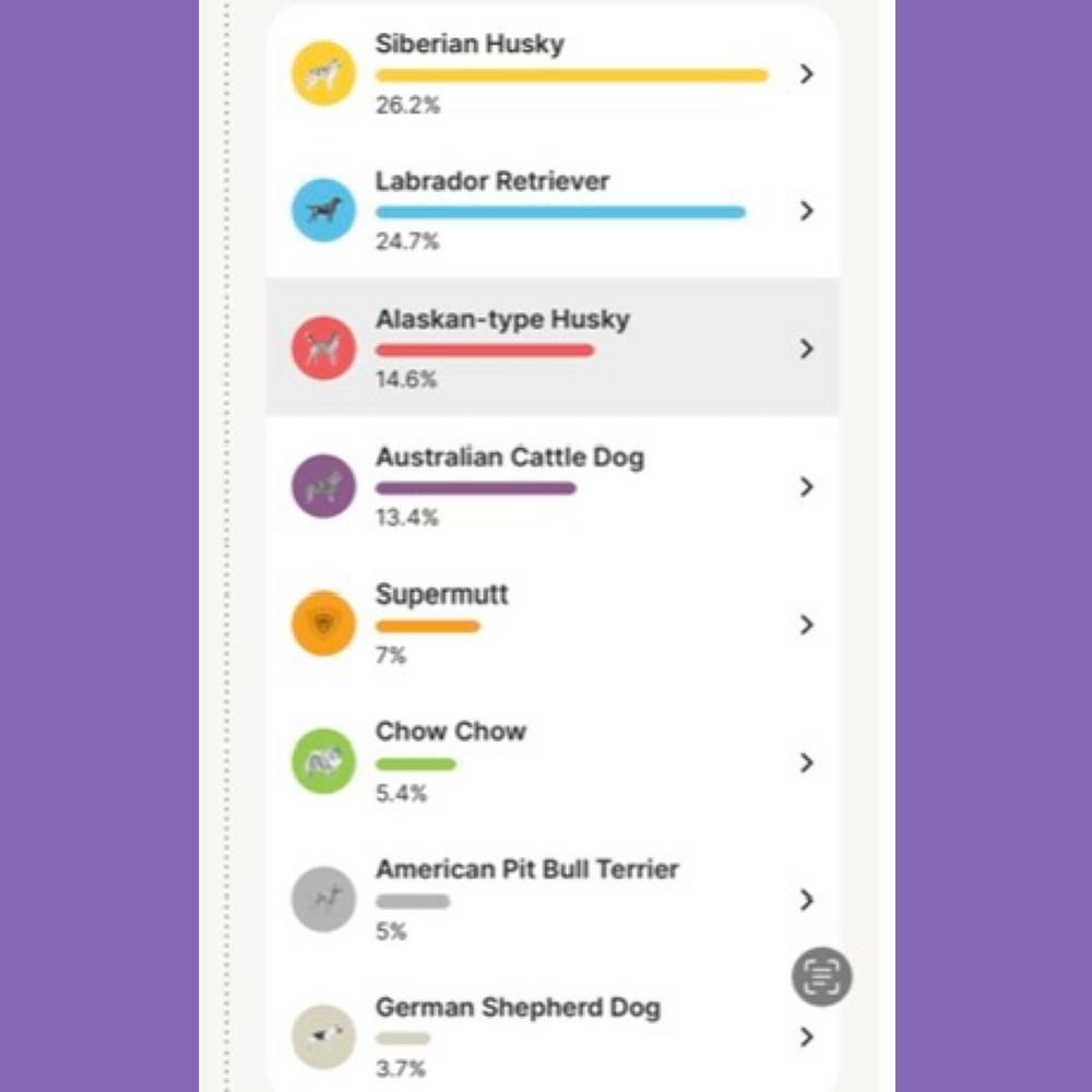 Enlarge Snow Angel - Fun in the Snow Litter, a Adoptable mixed breed in Kenai, AK image 6/6