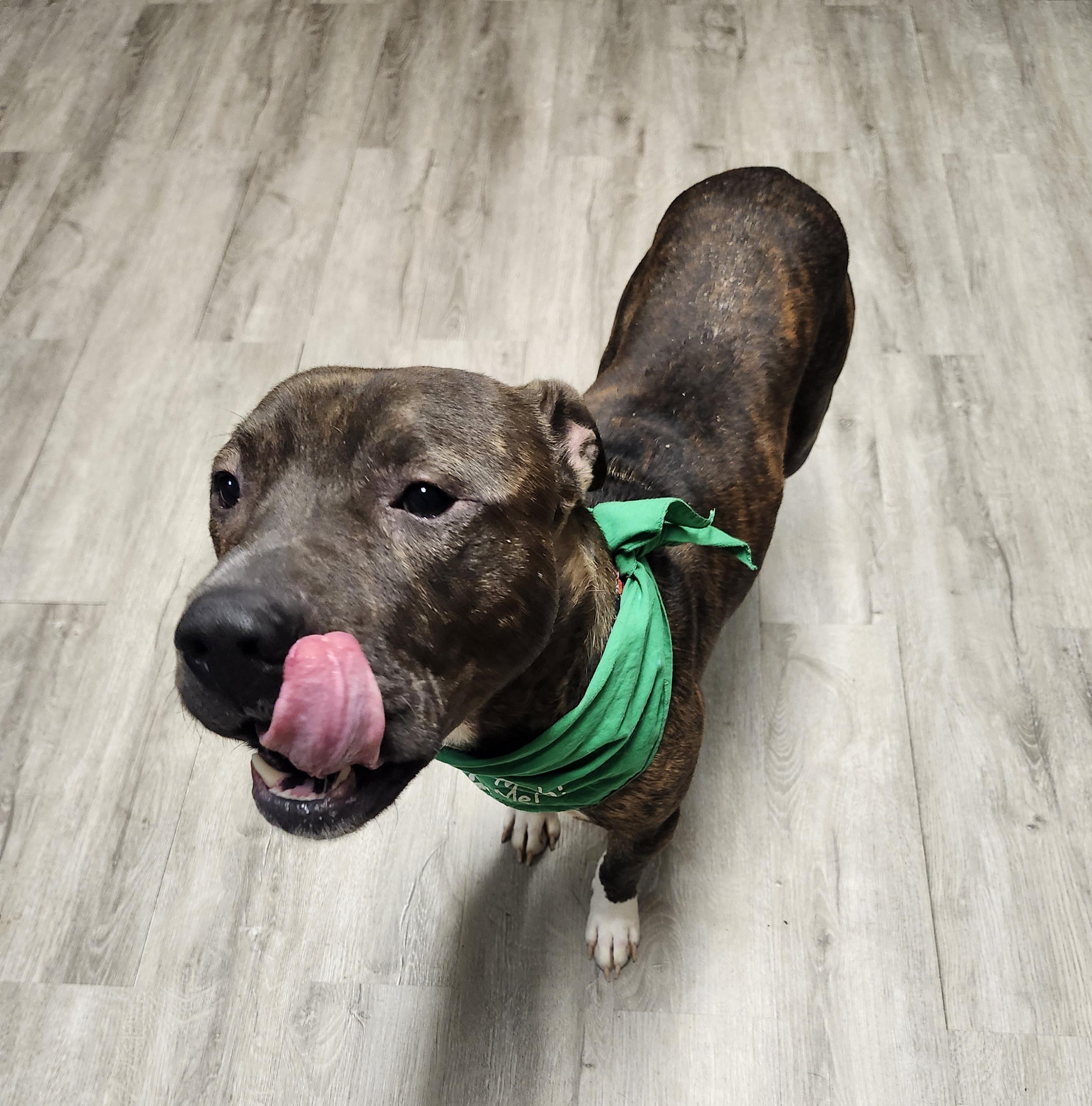 Prescott thumbnail 2