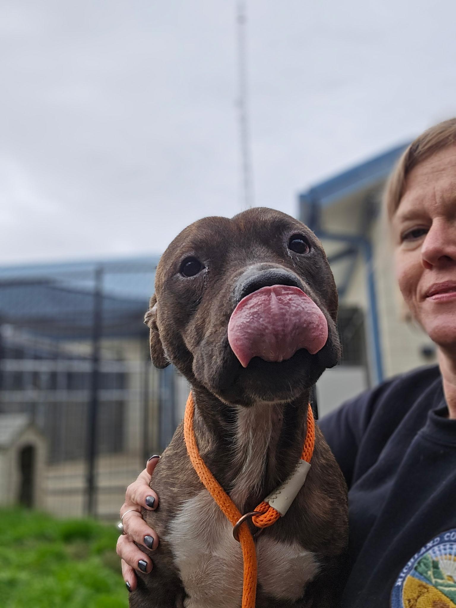 Prescott thumbnail 3