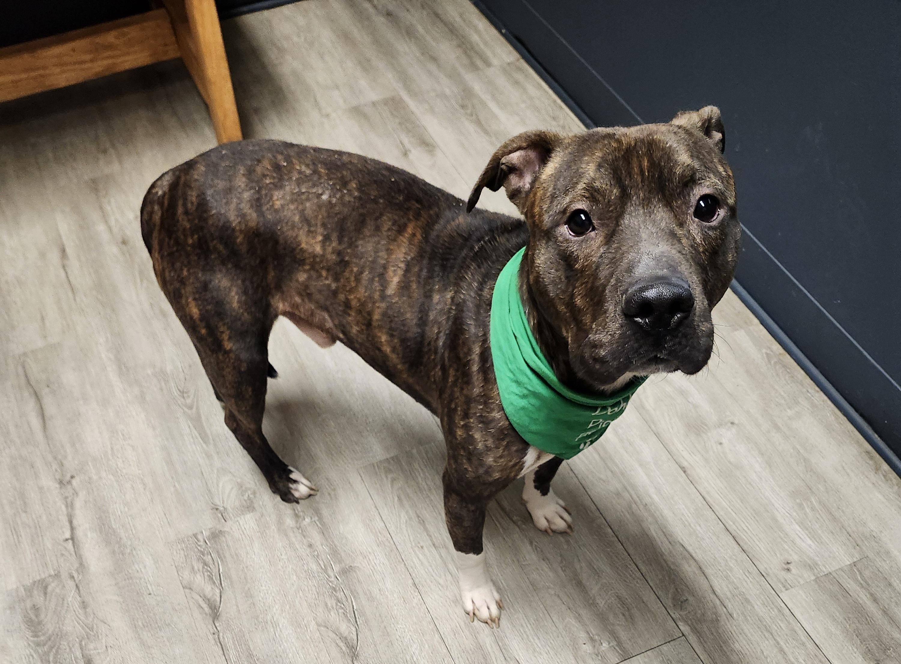 Prescott thumbnail 5