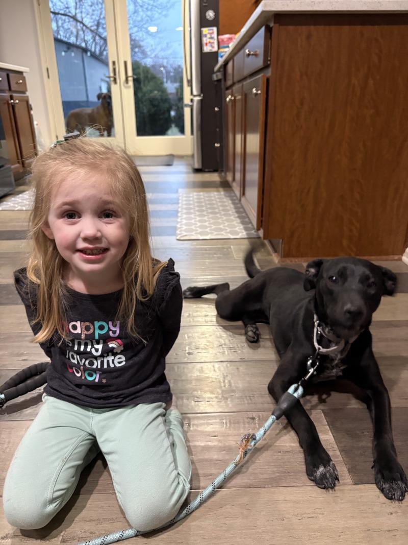 Petunia Flower — thumbnail 2