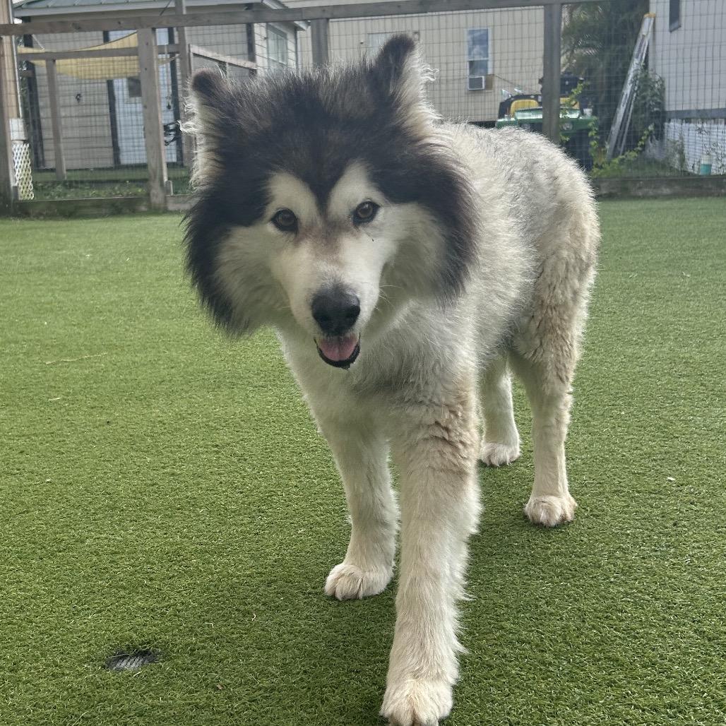 Skittles 6941 — thumbnail 2