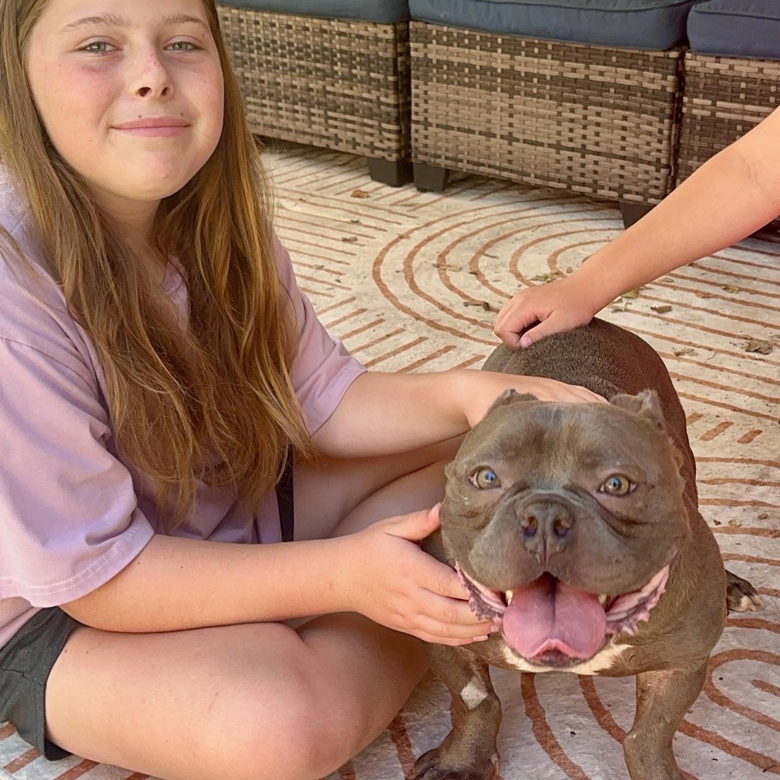 Charlie, a Adoptable mixed breed in Citrus Heights, CA image 4/6