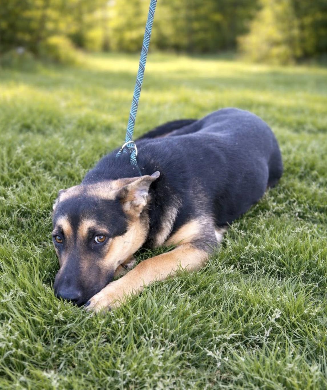 Grace — thumbnail 2