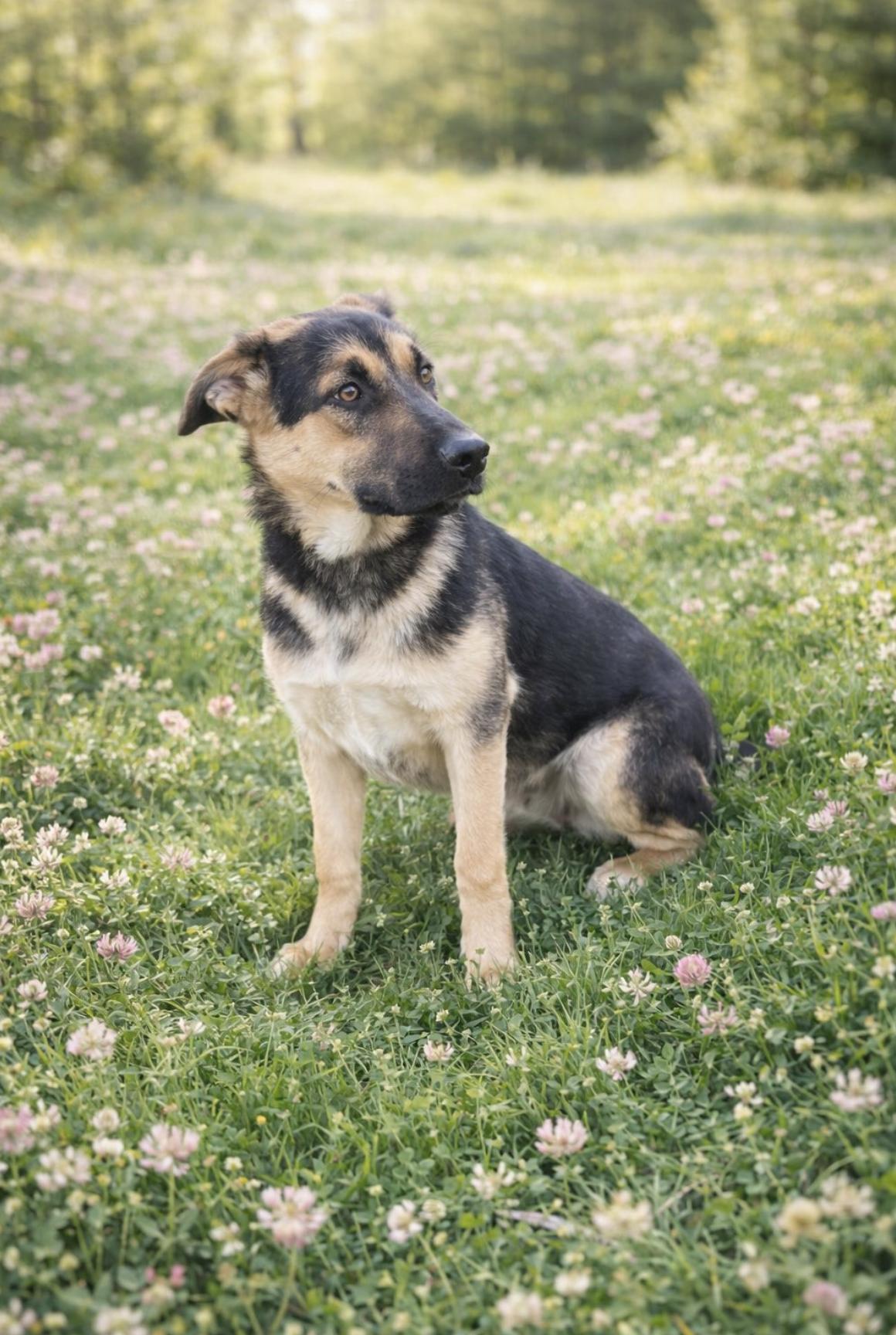 Grace — thumbnail 4