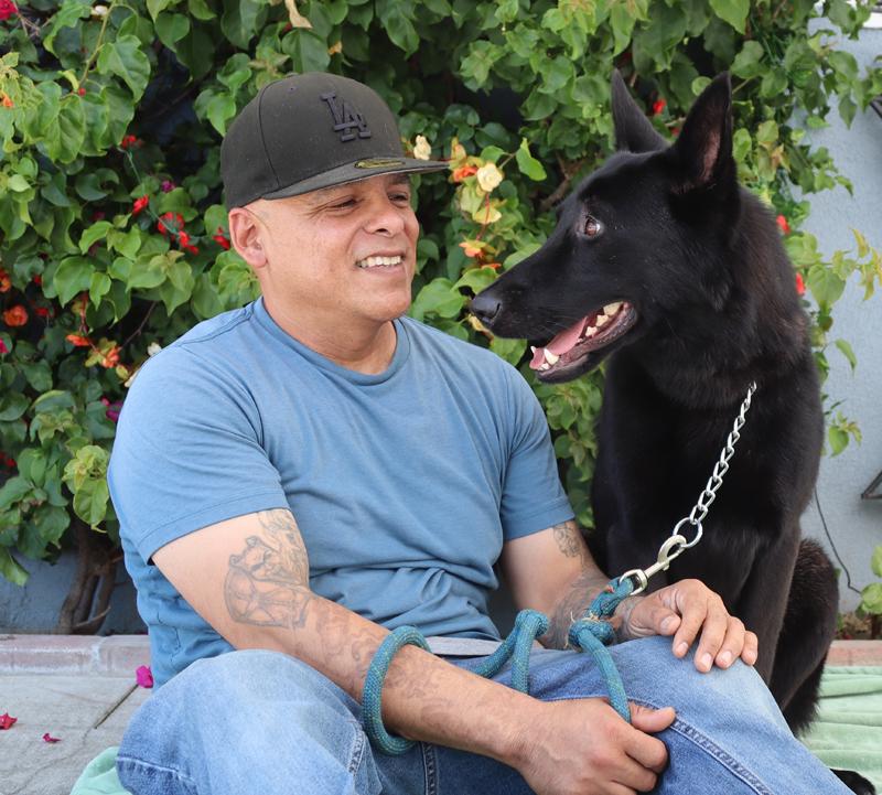 Enlarge *Peter von Prenzlau, an adopted German Shepherd Dog in Los Angeles, CA image 2/6