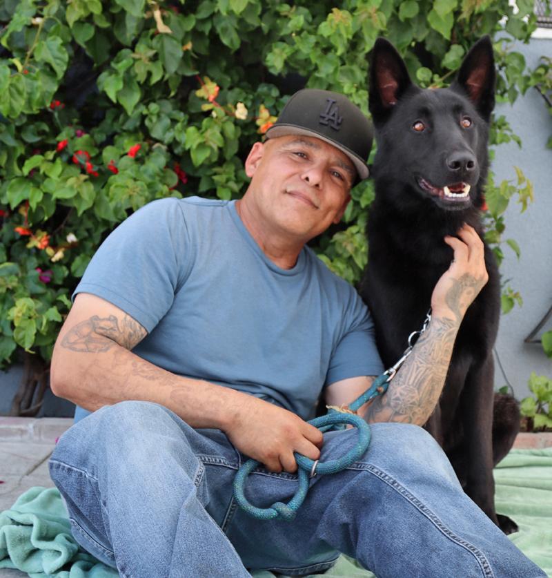 Enlarge *Peter von Prenzlau, an adopted German Shepherd Dog in Los Angeles, CA image 3/6