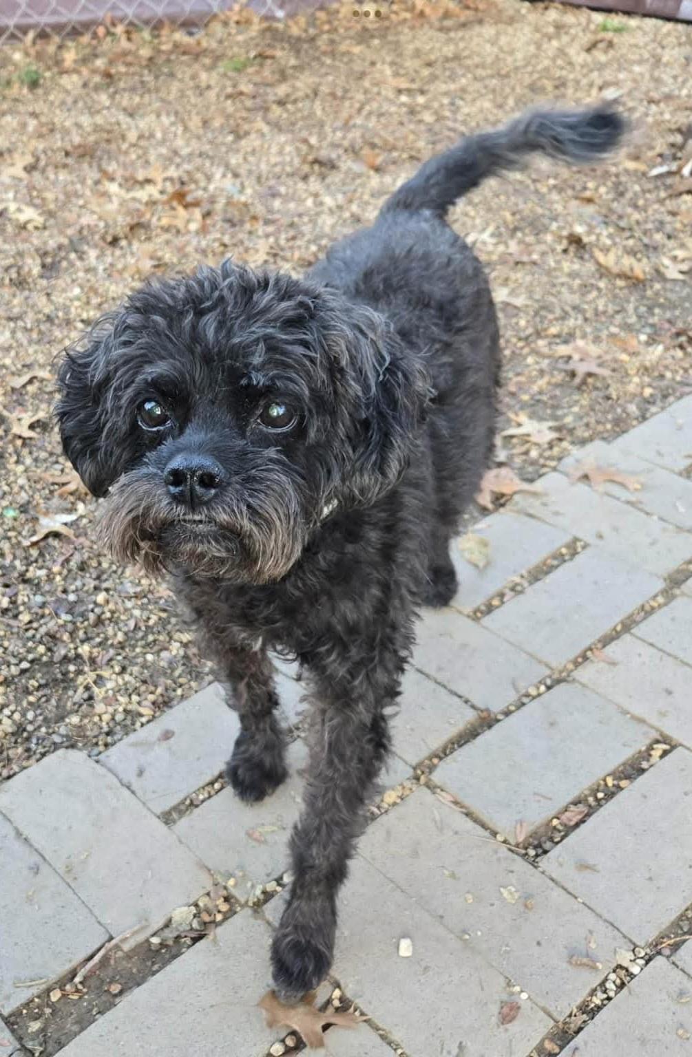 Einstein thumbnail 2