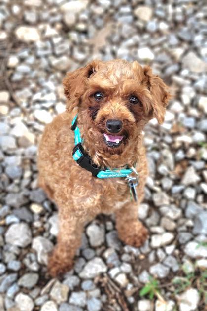 Kimberly — thumbnail 2