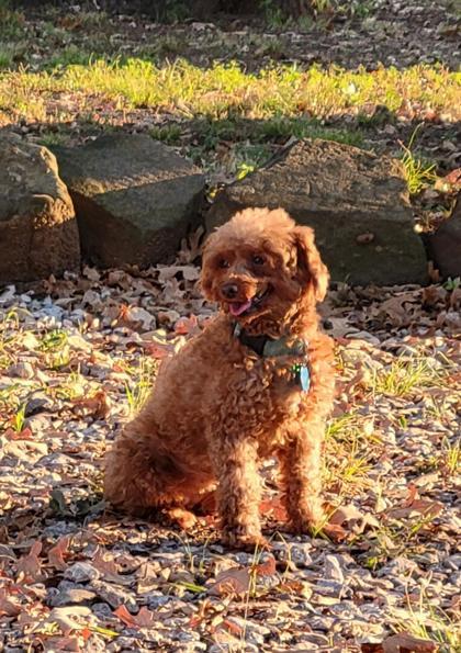 Kimberly — thumbnail 4