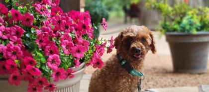 Kimberly — thumbnail 5