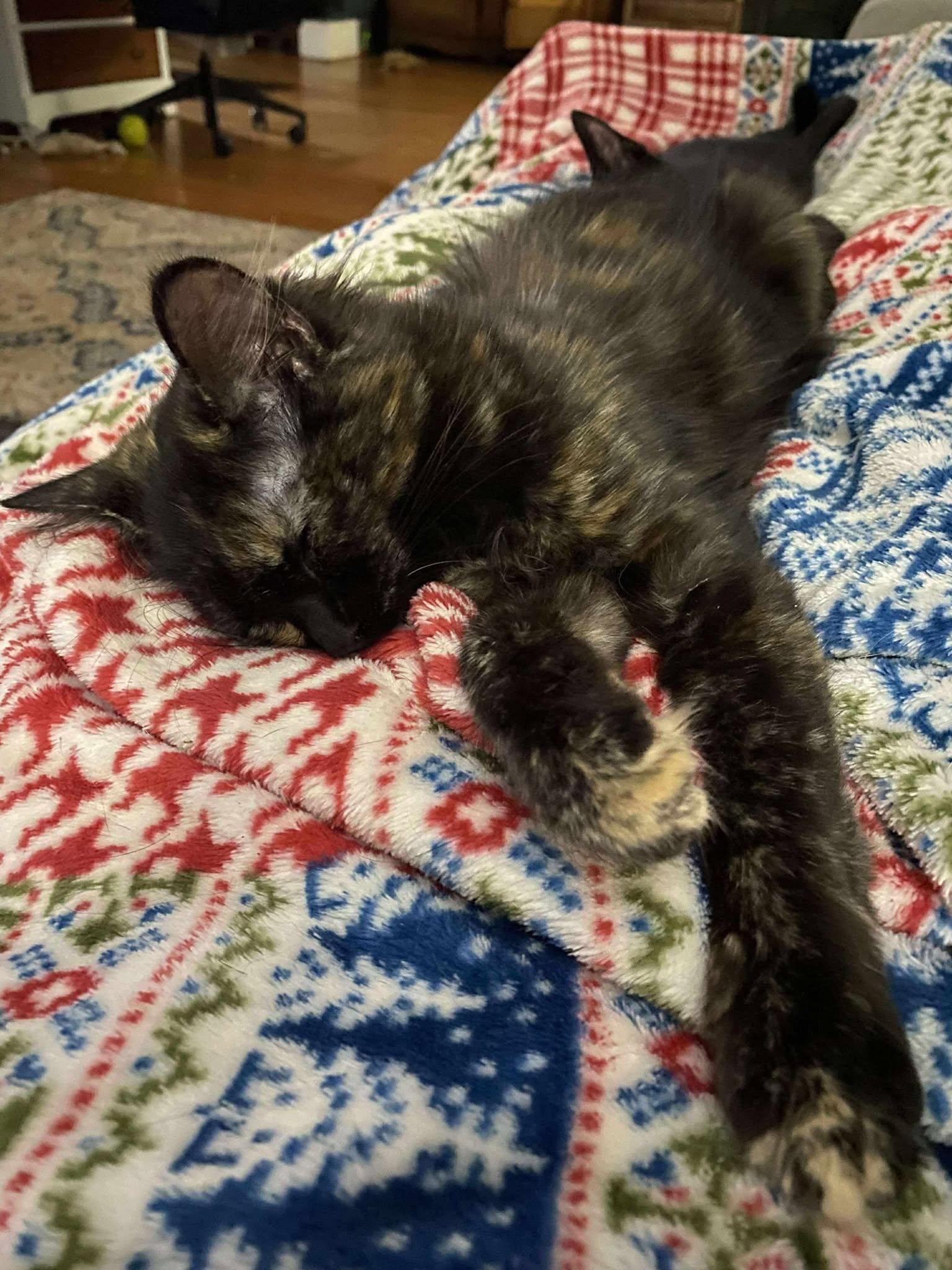 Janis Joplin thumbnail 4