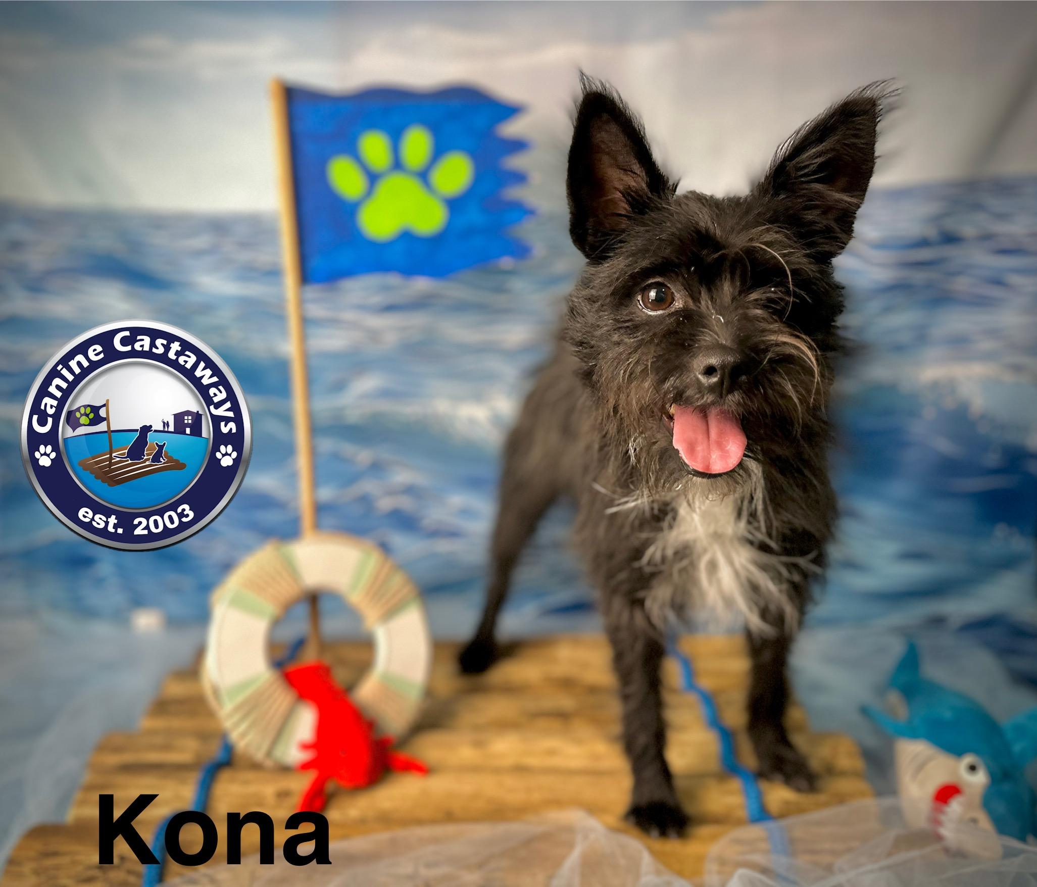 Kona 2