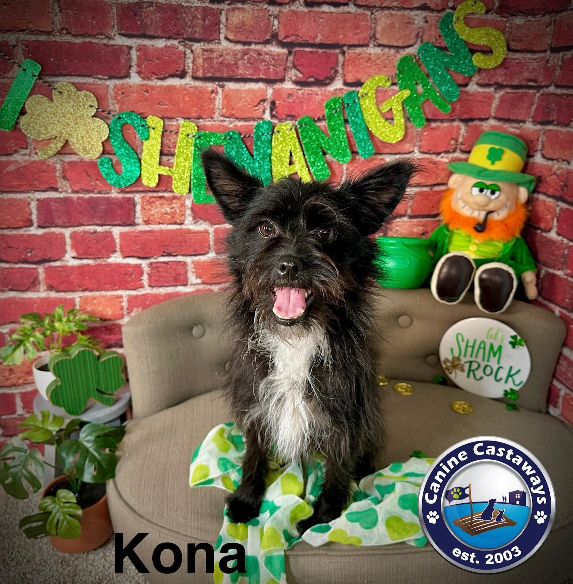 Kona 3