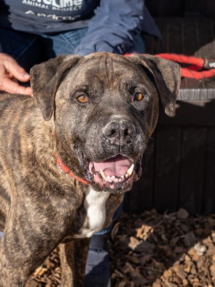 Creed — thumbnail 2