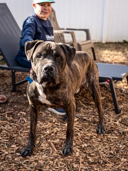 Creed — thumbnail 3