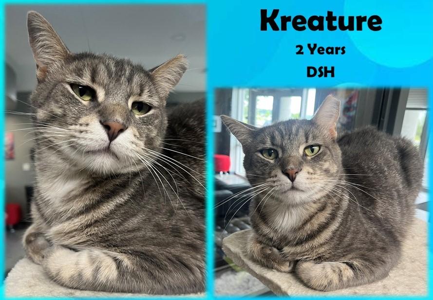 Kreature