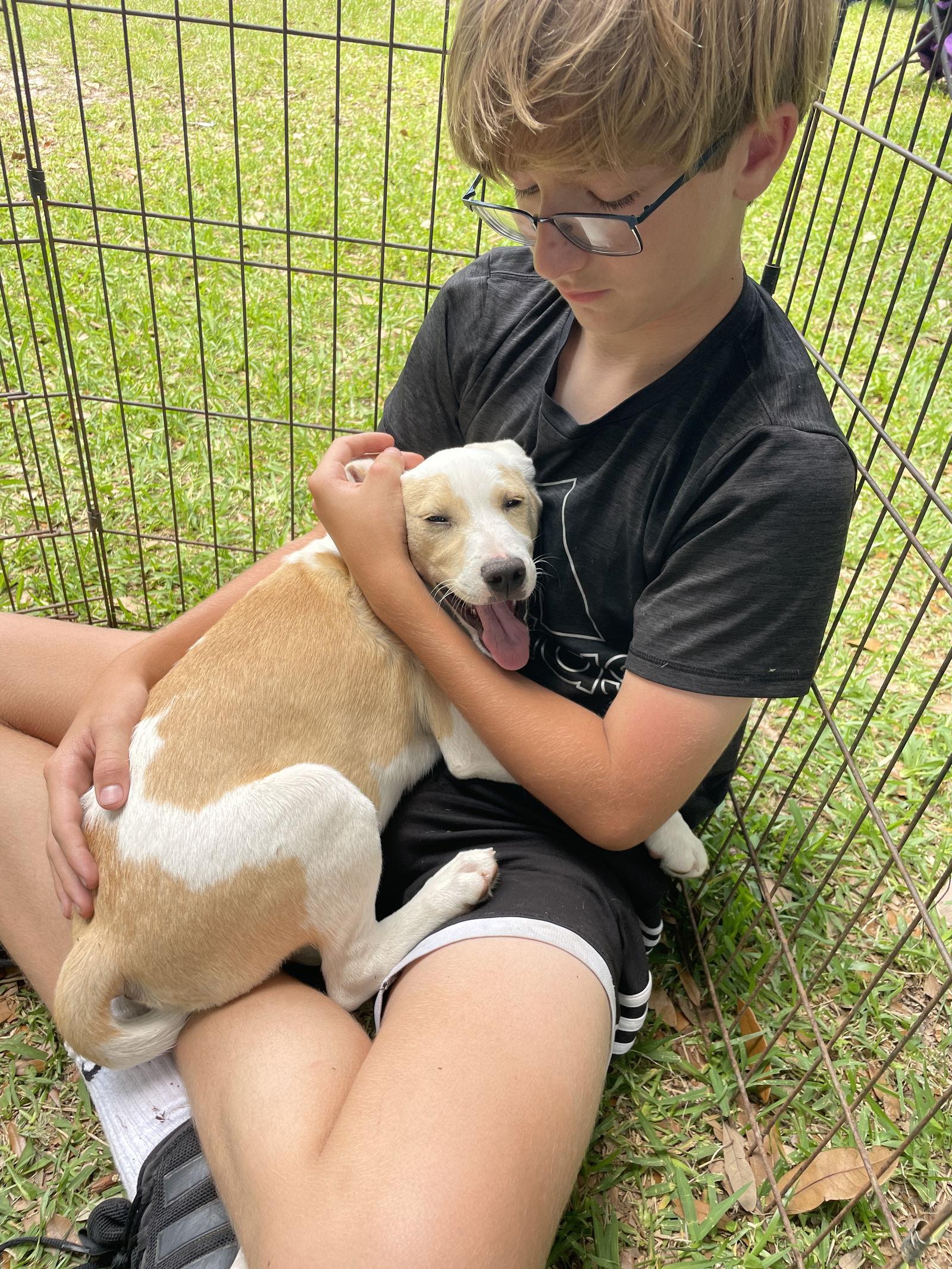 Enlarge Haleigh, a Adoptable mixed breed in Mobile, AL image 3/3