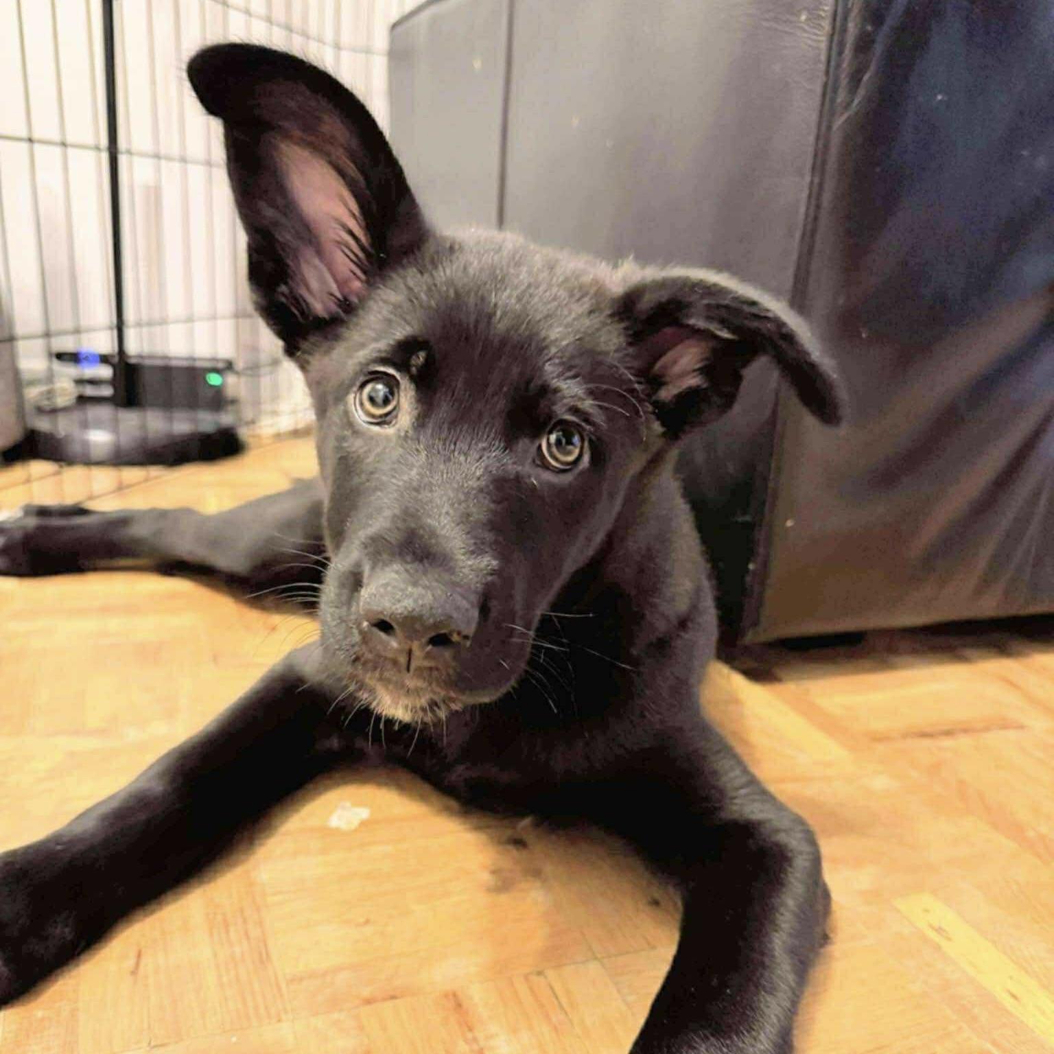 Krypton (20250507-18)