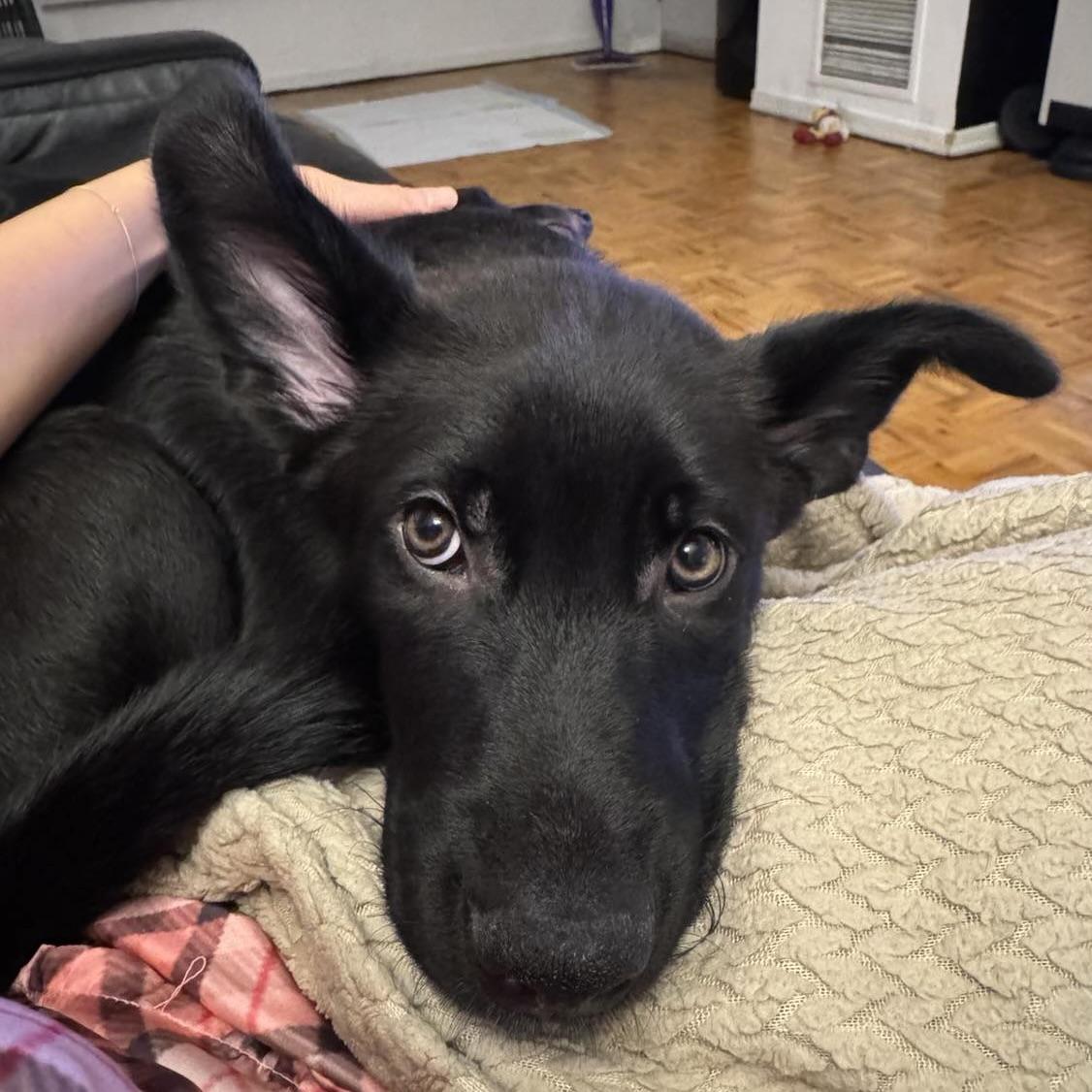 Krypton (20250507-18)