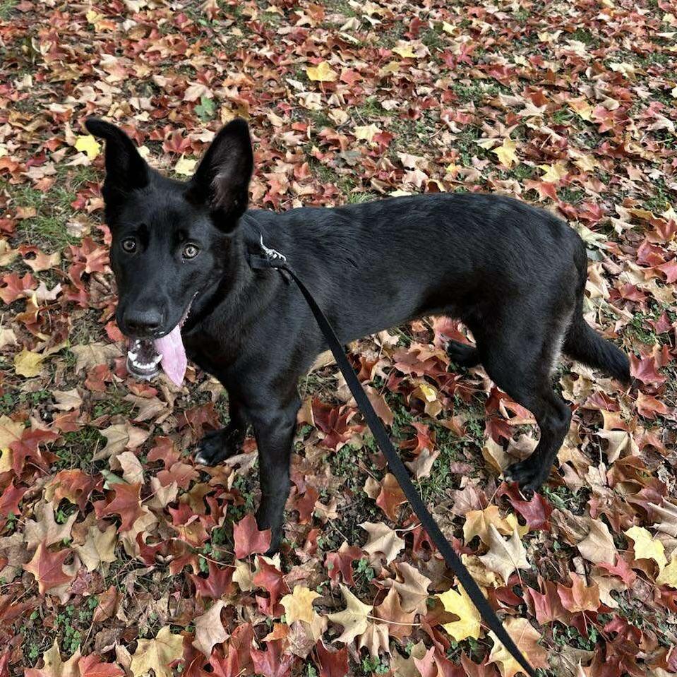 Krypton (20250507-18)