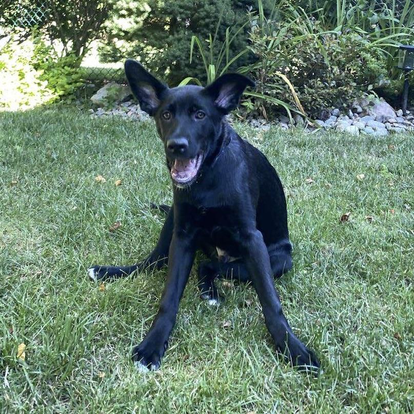 Krypton (20250507-18)